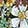 Hi-Top Sneakers & Athletics Skechers Funky Street - Flower Lane 177437, Black/Multi-Color, swatch
