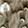  Women's Charlotte Daniel Earmuffs, Taupe, swatch