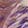 White/Pink/Purple