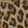 New Arrivals Ariat Primetime, Brown/Leopard, swatch