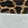 Crossbody Tami Too Clear Crossbody, Leopard/Clear, swatch