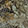  Crocs Classic Realtree APX Lined Clog, Green Camo, swatch