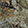  Crocs Classic Realtree APX Lined Clog, Green Camo, swatch