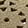 Block Heels Chelsea Moreland Jade, Taupe, swatch