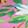 New Arrivals Sophia Taylor Floral, Pink/Multi-Color, swatch