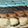  Madden Girl Baldwin, Snake, swatch