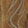  Ariat Sierra Waterproof Steel-Toe, Tan, swatch