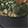  Itasca Bayou, Black/Green Camo, swatch