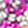  Maui Island Daphne, Pink, swatch