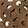 Thong Sandals Palms Ariel, Tan, swatch