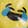  coXIST Sneaker Deoderizing Smiley Face Balls, Yellow, swatch