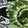 Boys' Socks Kids' Jurassic World No-Show 5-Pair Pack, Multi-Color, swatch