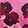  JanSport Big Student Pansy-Print Backpack, Fuchsia, swatch
