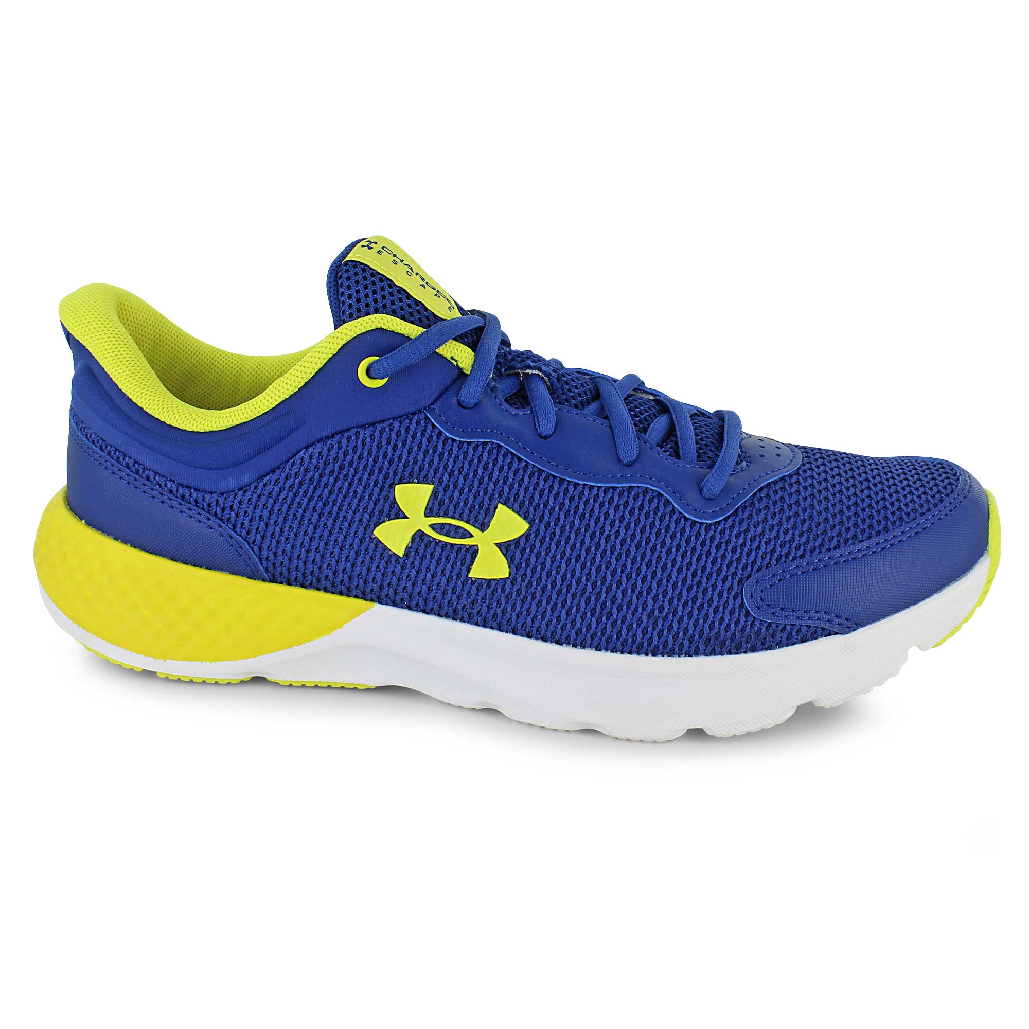 SHOE DEPT. ENCORE Under Armour Charged Escape 4 Hamilton Place