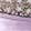  Adrienne Vittadini Gavin, Pink/Rose Gold/GLITTER, swatch