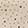  Women's Couture Gems Oblong Rhinestone Scarf, Beige, swatch