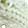Winter Headwear Couture Gems Faux-Pearl Fashion Headband, Beige, swatch