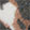  Greystone Endira, Multi-Color, swatch