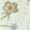  Code West Vickie, White, swatch