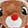  Adult Rudolph The Red-Nosed Reindeer Slippers L/XL, Brown/Red, swatch