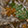 Sandals Nike Calm RealTree, Green Camo, swatch