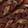 Thong Sandals Blowfish Malibu Beeman, Brown, swatch