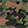 Handbags Bogg Bags Camouflage-Print Original Bogg Bag, Green Camo, swatch