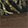  Rocky 3639 Aztec 8" Wellington, Green Camo/Brown, swatch