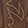  Ariat Sport Outdoor, Brown, swatch
