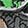  Jurassic World T-Rex 2, Black/Green, swatch