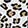  Women's Capelli Animal-Print No-Show 10 For $10, White/Brown/Black, swatch
