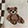  Women's Kensie Teddy Bear Low-Cut 6-Pair Pack, Beige/Brown, swatch