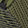 Olive/Black