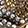 New Arrivals XOXO Makayla, Bronze, swatch