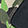  Converse Chuck Taylor All Star High Street, Black/Green Camo, swatch