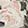  Bueno Rose Floral Tote, Creme, swatch