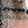  Women's Charlotte Daniel Oblong Fringe Scarf, Blush, swatch