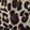  Adult Leopard Face Mask 5-Pack, Leopard, swatch