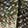 Scarves Couture Gems Striped Oblong Scarf, Olive/Multi-Color, swatch