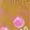  Juicy Giovana, Wheat/Pink, swatch