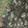Slippers Crocs Realtree APX Classic Clog, Brown Camo, swatch