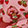  Strawberry Shortcake Hair Bows 7-Piece Pack, Pink/Red/White, swatch