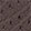  Skechers Virtue - Copper Dream, Chocolate, swatch