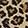  Converse Chuck Taylor All Star Hi, Leopard, swatch