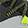 Gray/Lime/Black