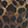 New Arrivals Steve Madden BCHAPEL Leopard-Print Shoulder Bag, Leopard, swatch