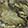 Green Camo