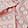  bebe Girls Bea, Pink, swatch