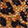  Lauren Lorraine Sammy Bling, Leopard, swatch