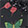 Black/Multi-Color
